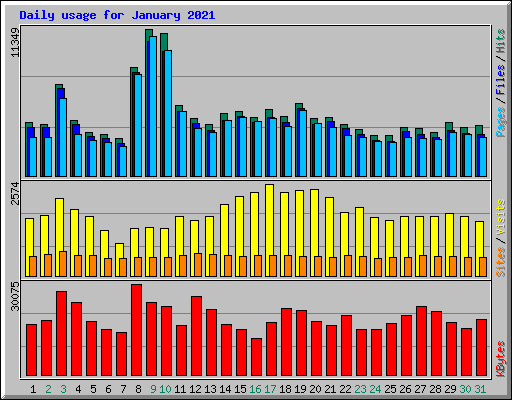 Daily usage for January 2021