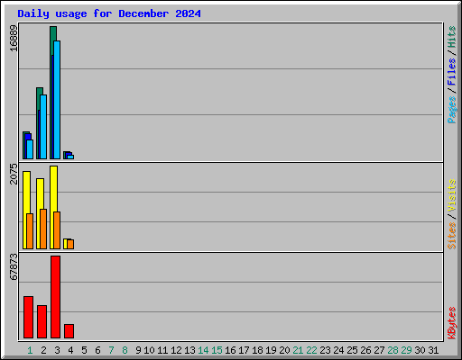 Daily usage for December 2024