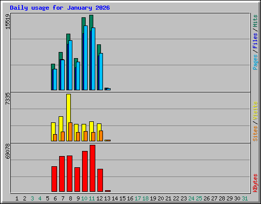 Daily usage for January 2026