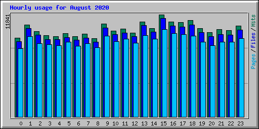 Hourly usage for August 2020