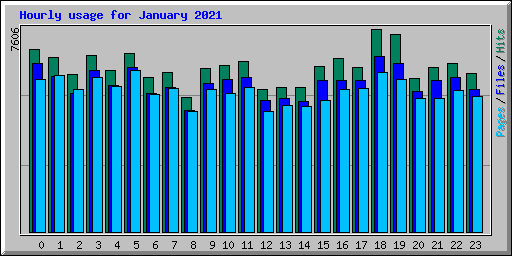 Hourly usage for January 2021