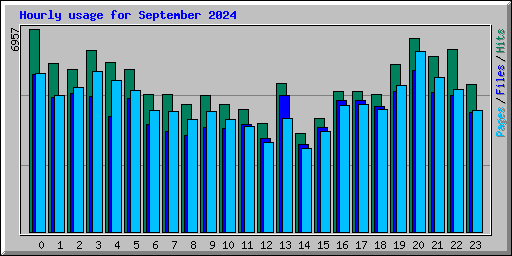 Hourly usage for September 2024