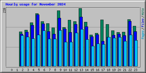 Hourly usage for November 2024