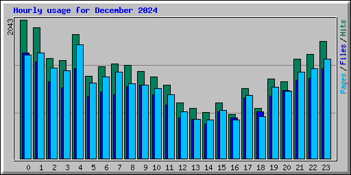 Hourly usage for December 2024