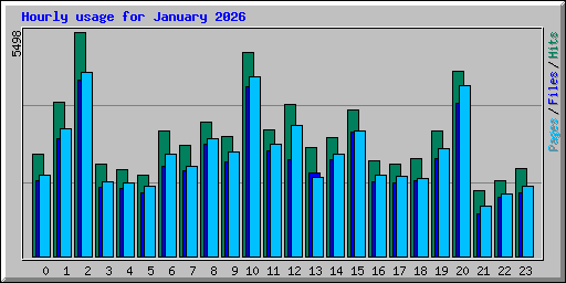 Hourly usage for January 2026